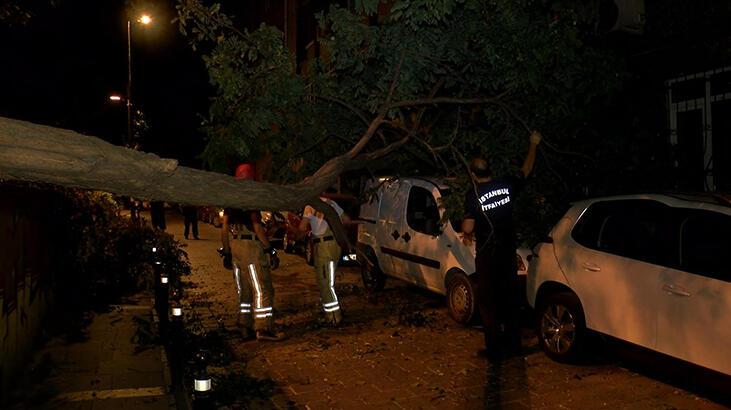 Sabaha karşı Beşiktaş…  Ticari aracın üzerine ağaç devrildi