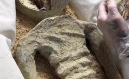 Bomba iddia! Meksika’nın bulduğu UFO fosili “pasta” çıktı
