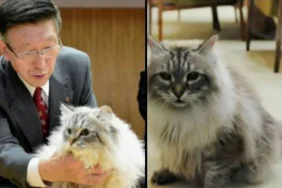 67521a2a5429e583__w1200xh900