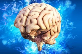 675a8afb3f77c701__w1200xh800