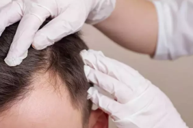 Ekran görüntüsü 2024-12-16 165710