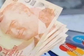 54135241563-lmlc-300x300