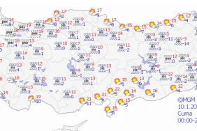 67805f11ca943705__w1200xh577