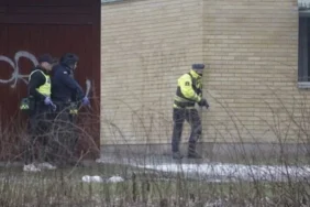 67a2153ce1d00517__w1200xh676