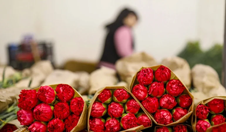 TÜRKİYE’DEN 30 ÜLKEYE 75 MİLYON DAL ÇİÇEK!