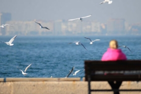 HAFTA SONUNA KADAR BAHAR HAVASI ETKİLİ OLACAK! SICAKLIKLAR YÜKSELİYOR 1 bahar