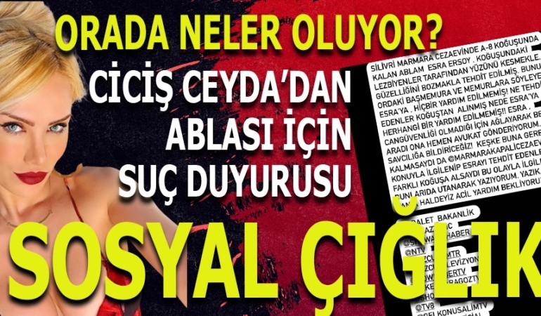 WhatsApp Image 2025-04-21 at 12.50.38