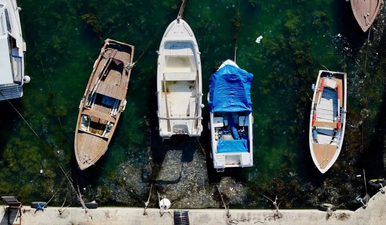 İSTANBUL’UN BEYKOZ SAHİLİNDE MÜSİLAJ YENİDEN GÖRÜLDÜ