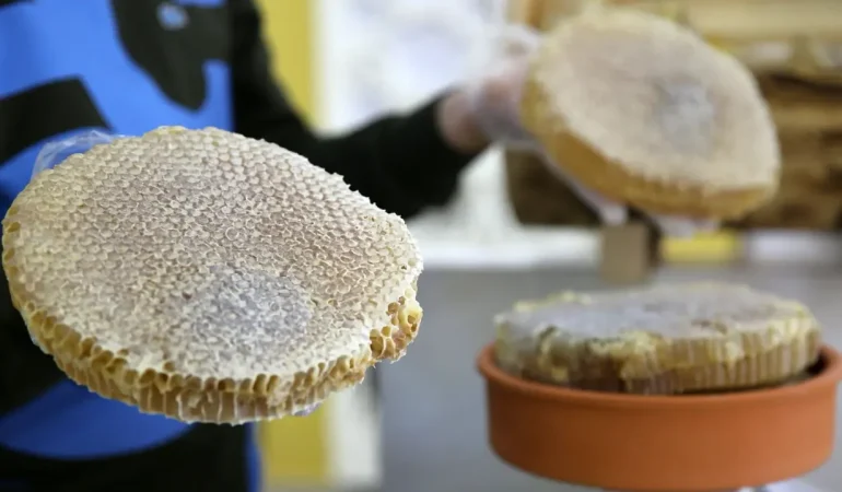 BİTLİS BALI, PARİS’TE “ALTIN BAL” ÖDÜLÜNÜ KAZANDI