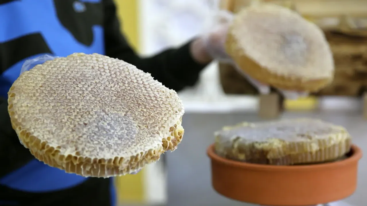 BİTLİS BALI, PARİS'TE "ALTIN BAL" ÖDÜLÜNÜ KAZANDI 2 1350375