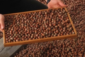 6830504dc24c1fc2469fe424