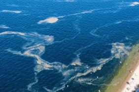 istanbul-kinaliada-aciklarinda-musilaj-alarmi-1746723825-304_large