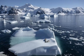 1069331750_0_45_864_531_640x0_80_0_0_12fbe9ce3c14967e739276c3064653f0