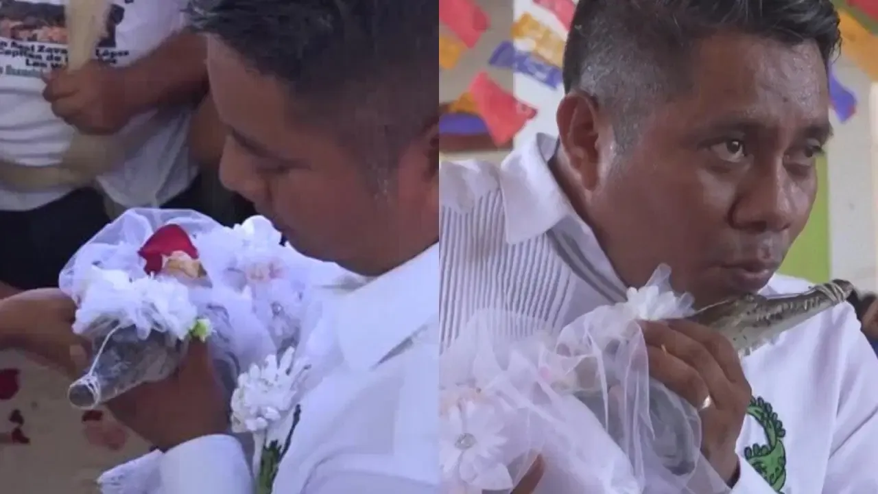 1297c1c6-9158-4e1d-8684-af974fc6f4ff