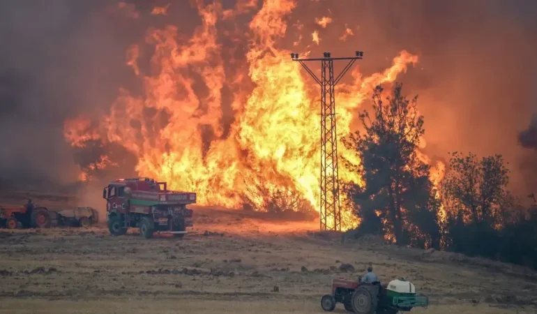 yangında şehit olan orman işçileri ve akut gönüllülerinin isimleri belli oldu