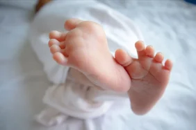 Endonezya’dan Singapur’a bebek pazarı 3 6879e2d9f0cd6867__w1200xh675