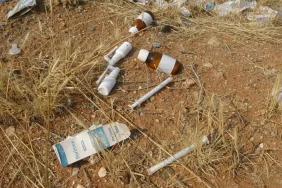 687e985b97590634__w1200xh675 (1)