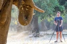 6881f380aeab2893__w1200xh675