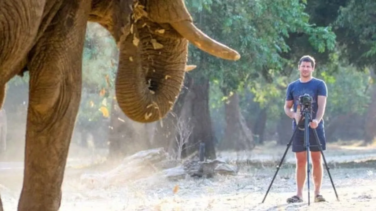 6881f380aeab2893__w1200xh675