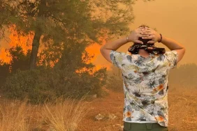 68833f92991930bb2462c1e1