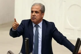 829799image1-1732971523