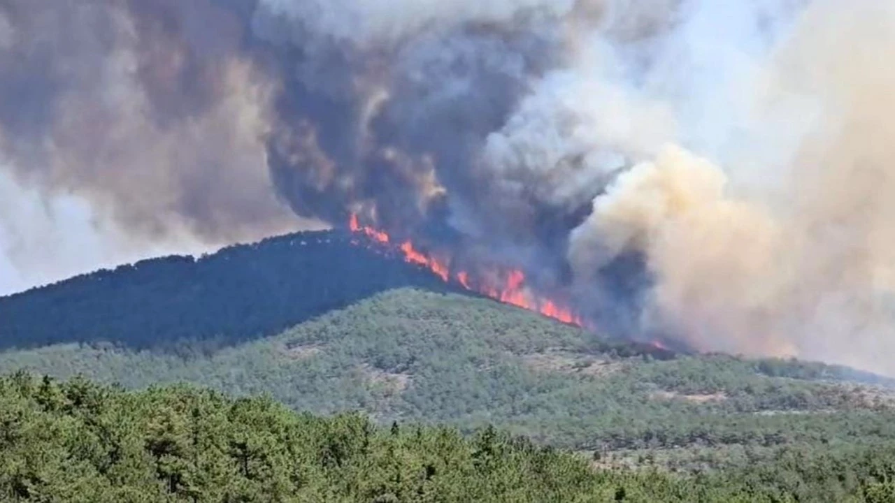 Harmancık'taki Yangına Havadan Ve Karadan Müdahale 5 aw505514-05-qu0u_cover