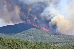 Bursa’daki Yangın Soruşturmasında FETÖ Detayı: Şüpheli Gözaltında 2 aw505514-05-qu0u_cover