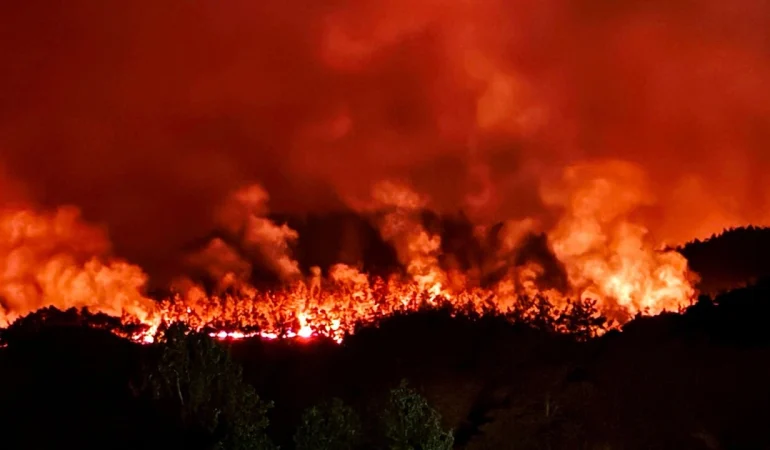 Sakarya’da orman yangınına havadan ve karadan müdahale
