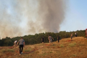 tekirdagda-aniz-yangini-panigi-alevler-ormana-sicradi-4-BB5K5kEd