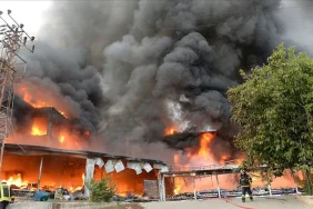 thumbs-b-c-fbdb6e759b2b090a6fc110b0de02296f