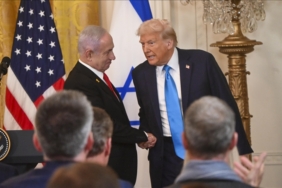 thumbs_b_c_01d736674a6f13e03915b34242c85f3d