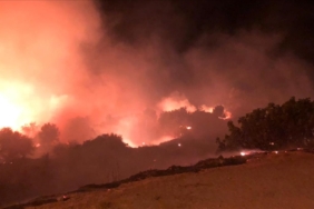 thumbs_b_c_887fdecd3664ab253ad0c3ec242f4a1c