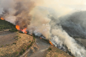 whatsapp-image-2025-07-01-at-15-jvhx