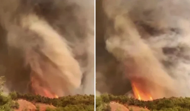 sakarya’da orman yangını: alevler hortum oluşturdu