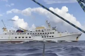 68e37776038ed176__w1200xh1304