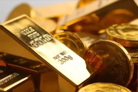 68ed9b8c2bfb4526__w1200xh675