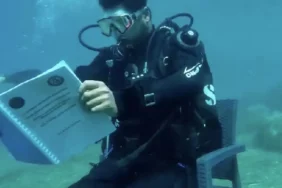 68ff1488d1eca112__w1200xh1020