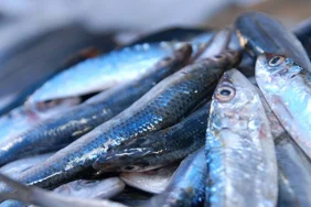 c5ac617f-f47b-42e6-ae0e-368b29ac27b4