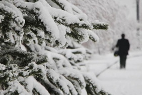 19289291-860x480-bpae