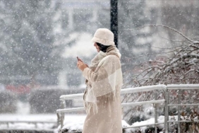 1092121449_0_0_865_486_1920x0_80_0_0_efbaeb6aa90da7d65fe3323b96a57dff