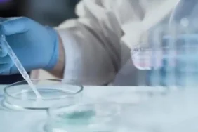 69399f6854ebc521__w1200xh674