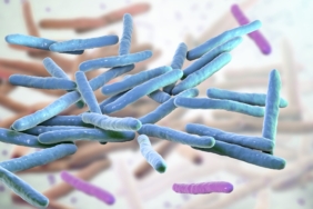 Mycobacterium_leprae_GettyImages-1179790426