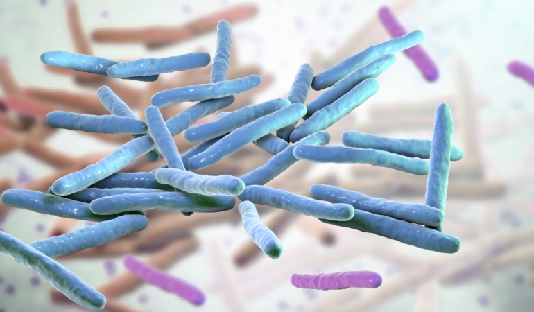 ROMANYA VE HIRVATİSTAN’DA 40 YIL SONRA CUZZAM ALARMI: SAĞLIK YETKİLİLERİ HAREKETE GEÇTİ