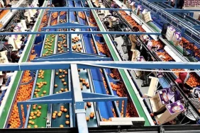 TÜRK GIDA İHRACATINDA KRİTİK UYARI: “4 ÜRÜNDEN 3’Ü AB STANDARTLARINA UYGUN DEĞİL” DENİLİYOR 3 ihrac-gidalarimiz-da-abye-giremiyor-4unden-3u-riskli-ct34