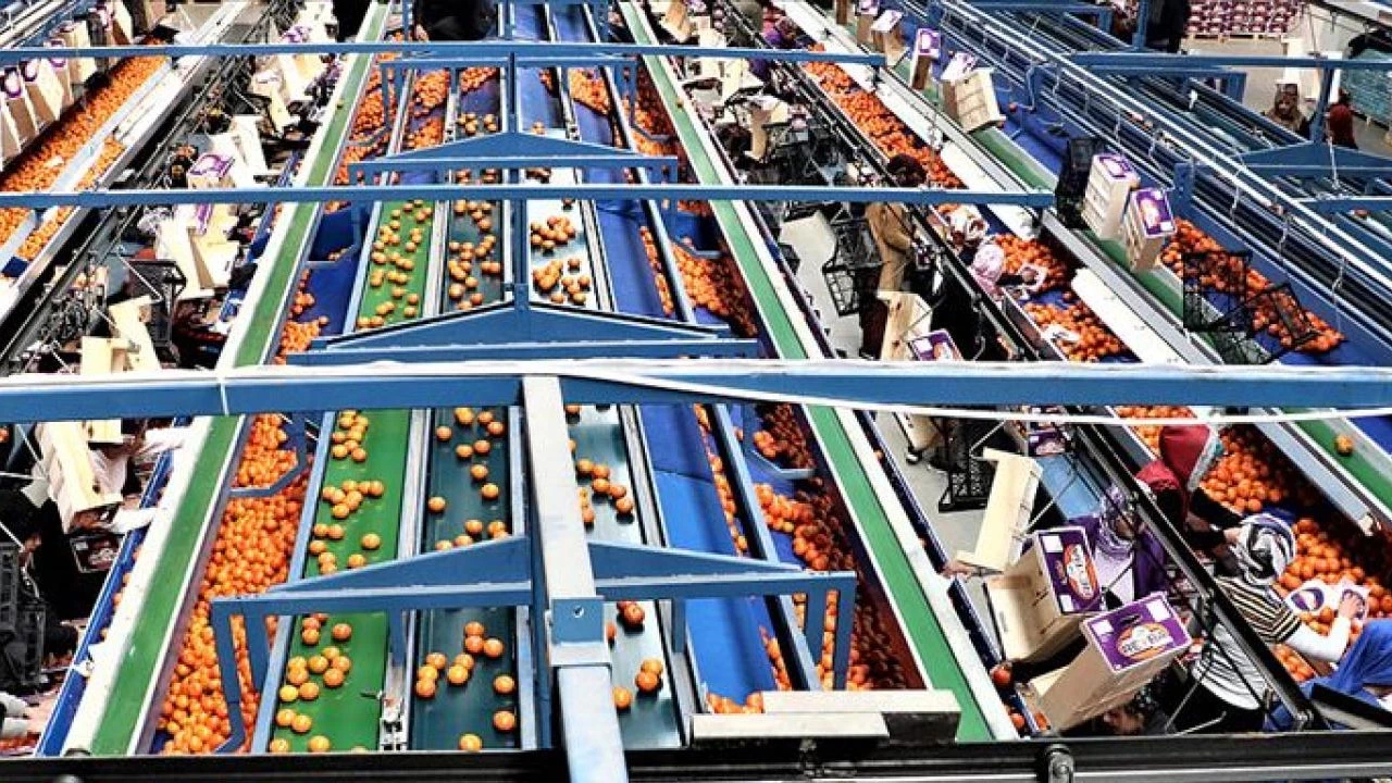 TÜRK GIDA İHRACATINDA KRİTİK UYARI: “4 ÜRÜNDEN 3’Ü AB STANDARTLARINA UYGUN DEĞİL” DENİLİYOR 2 ihrac-gidalarimiz-da-abye-giremiyor-4unden-3u-riskli-ct34