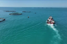 6956585590bcf696__w1200xh675